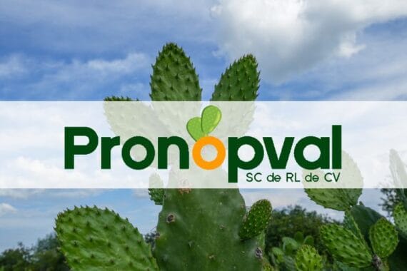 portada pronopval