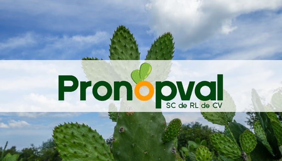 portada pronopval