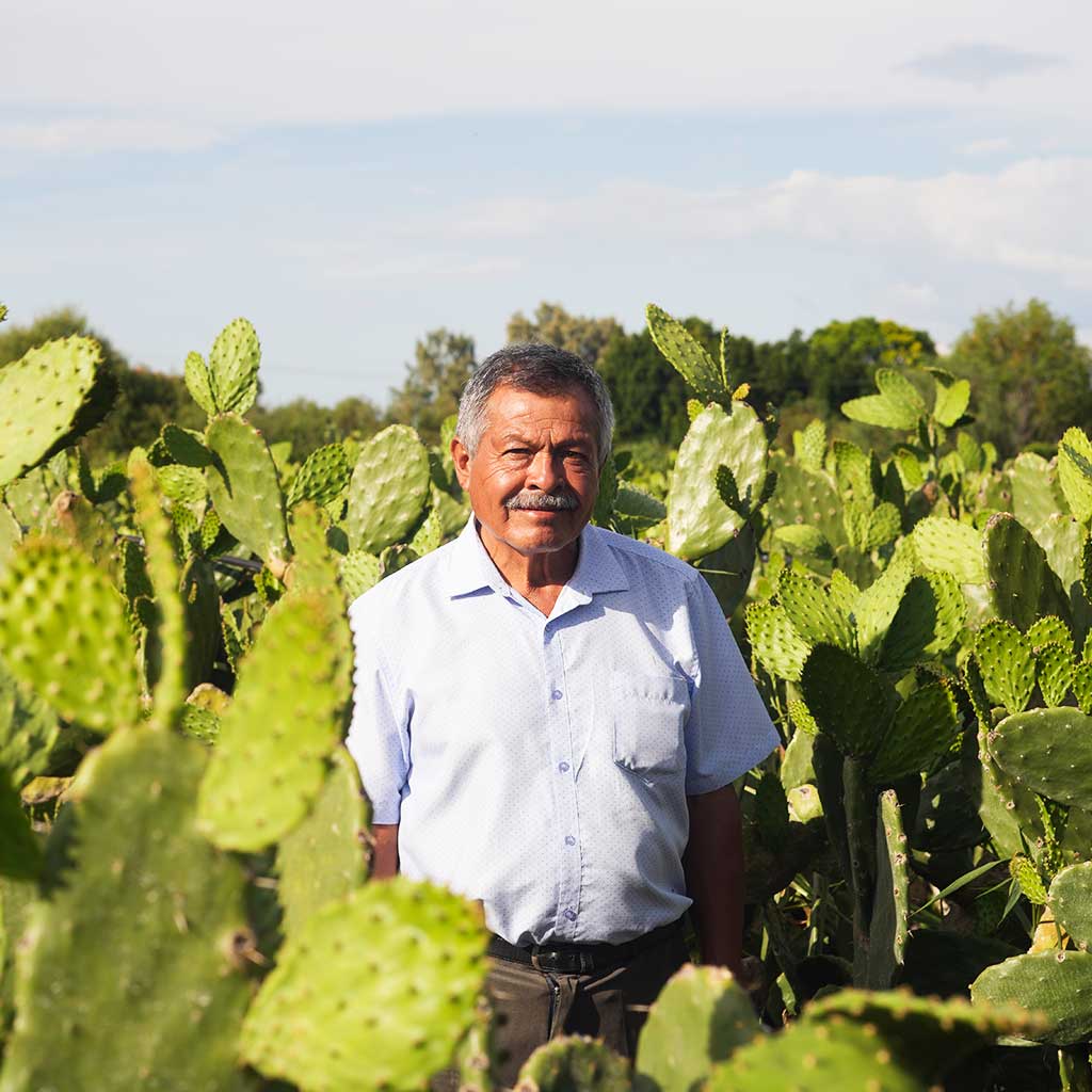 familias-mexicanas familias mexicanas
