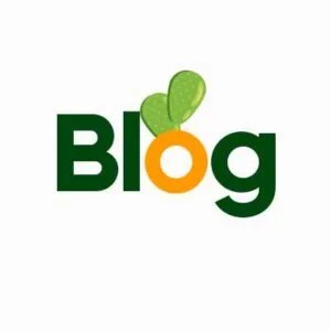 BOT-BLOG BLOG